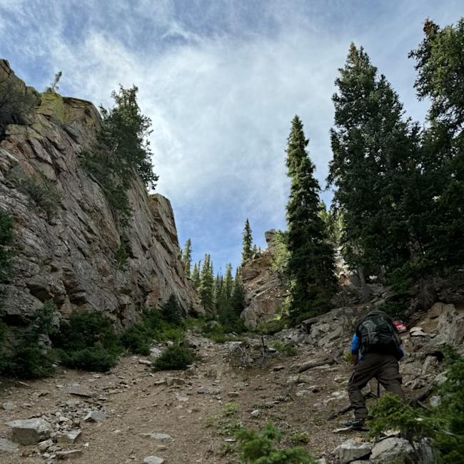 Expert Recommendation Content