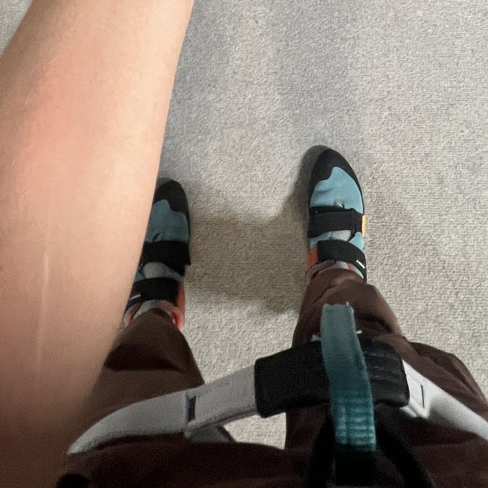 scarpa force v womens review