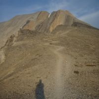 Raina Phillips D'Angelo