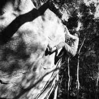 Stephen Max Kloeppel