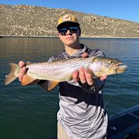 Logan Powell