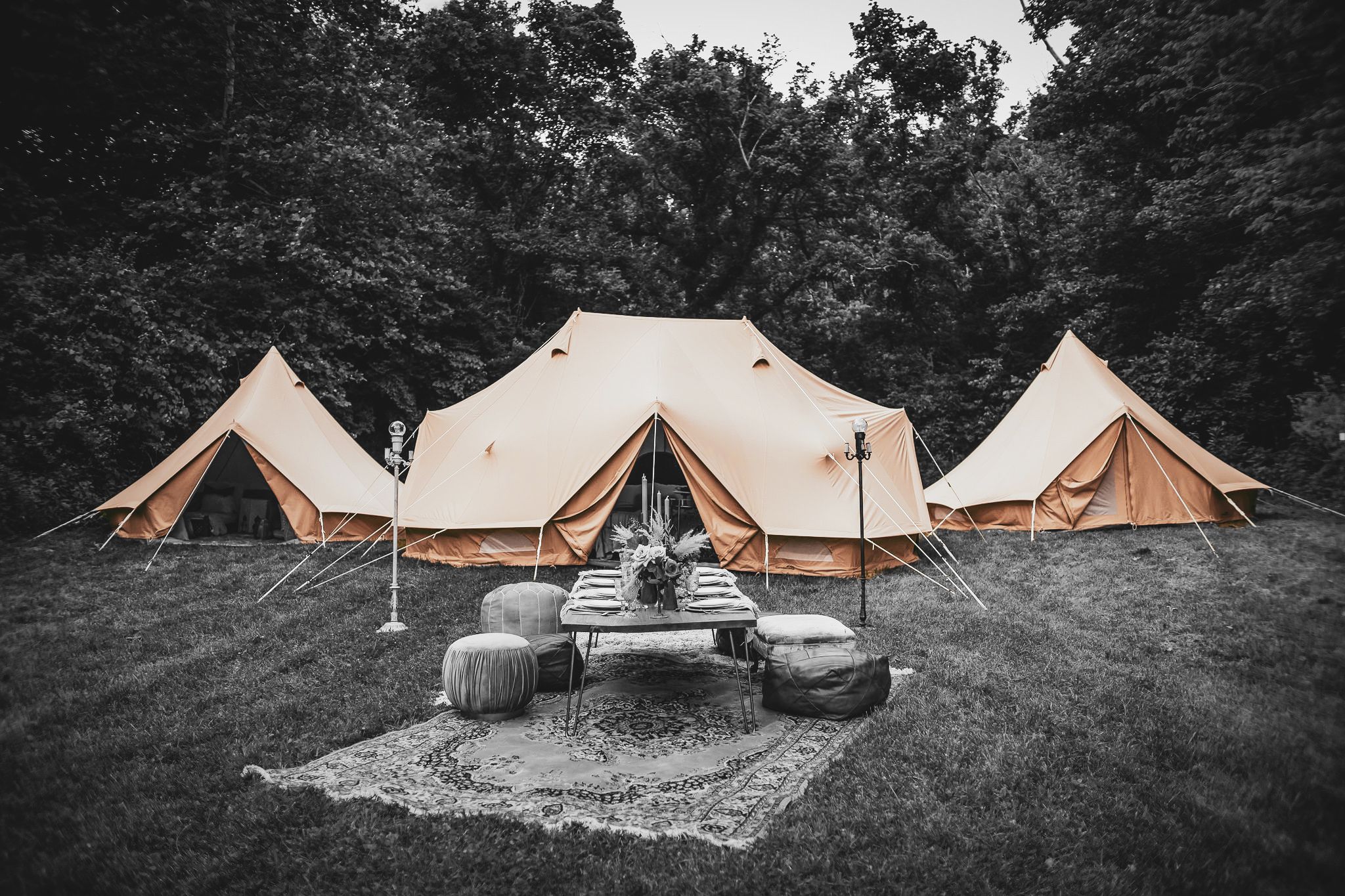 CanvasCamp | ExpertVoice