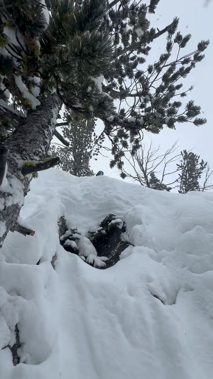 DST SPLITBOARD – Telos Snowboards