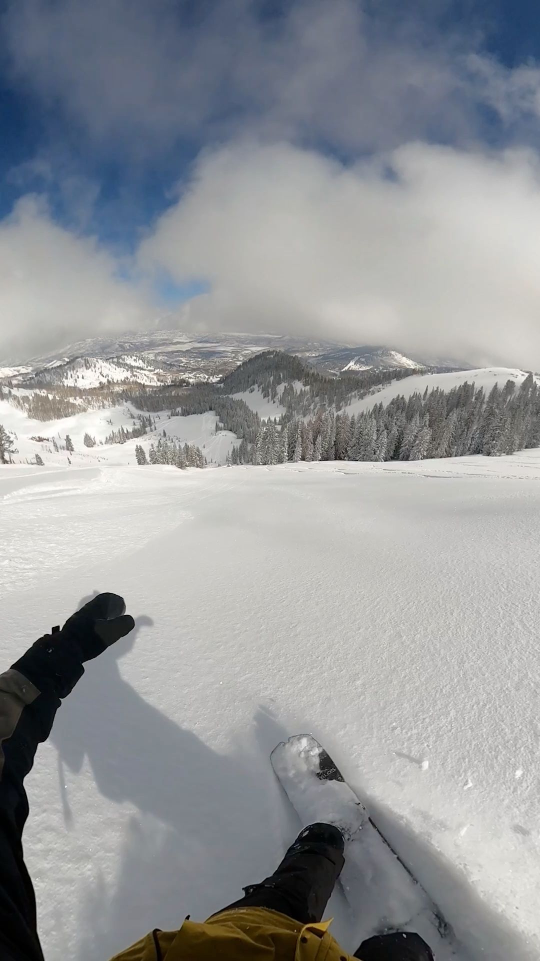 Expert Recommendation Content