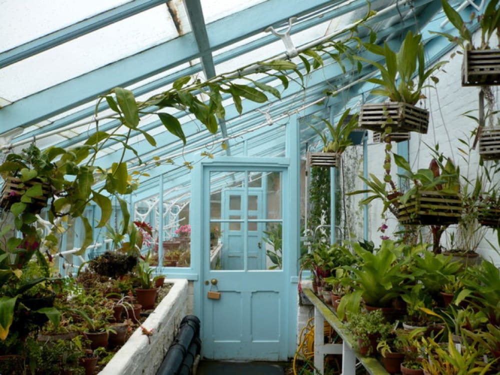 The Complete Guide To Starting A Home Greenhouse What You Need To Know