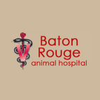 13 Best Baton Rouge Dog Boarders Expertise
