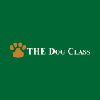 6 Best Cleveland Dog Trainers Expertise