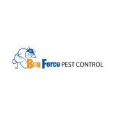 Black Widow Spider FAQ - Craig & Sons Termite & Pest Control