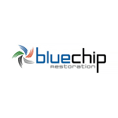 Blue Chip Restoration