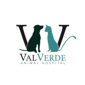 19 Best Omaha Veterinarians 19 Best Omaha Veterinarians
