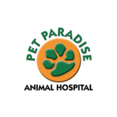 19 Best Orlando Dog Boarders Expertise