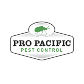 Black Widow Spider FAQ - Craig & Sons Termite & Pest Control