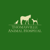 18 Best Tallahassee Veterinarians Expertise