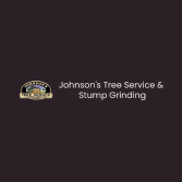 tim's tree service cape coral florida