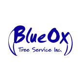 31 Best Cincinnati Tree Services Expertise Com