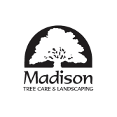 Madison Tree Care & Landscaping