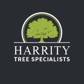 tree removal portland ct