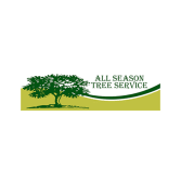 hansen tree service abington ma