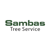 jt tree service framingham