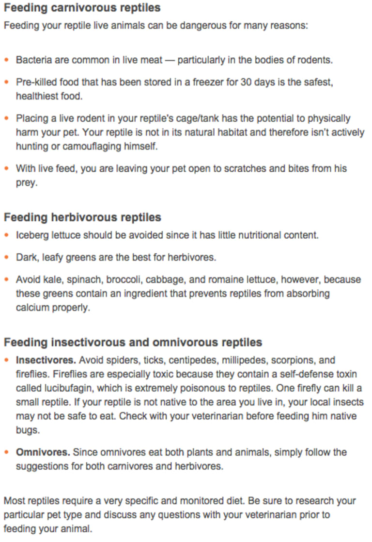 home safety guide for pet owners