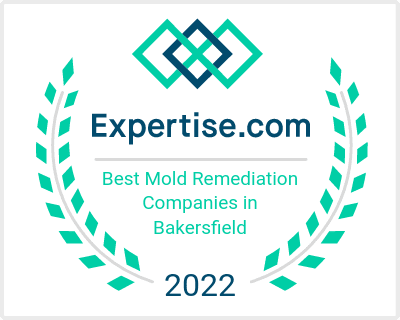 Top Mold Remediation Company in Bakersfield