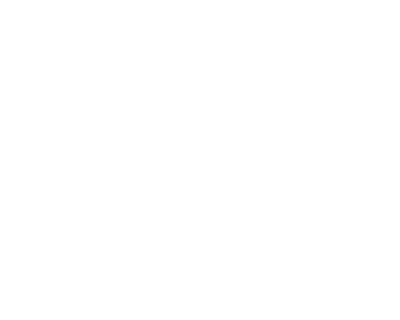 Top Carpet Cleaner in Santa Monica