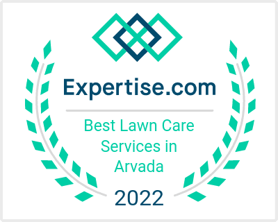 Top Lawn Care Service in Arvada