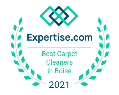 Top Carpet Cleaner in Boise