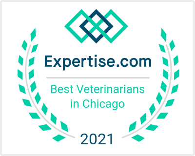 Chicago Veterinarians