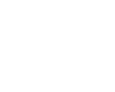 Top Seo Agency in Detroit