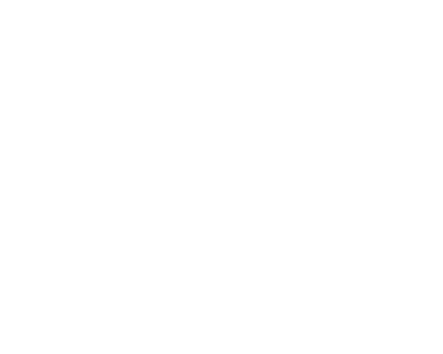 Top Litigation Attorney in Raleigh