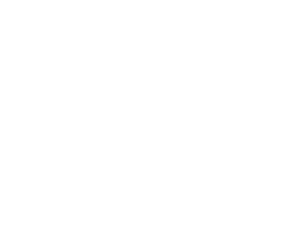 Top Pest Control Service in Reno