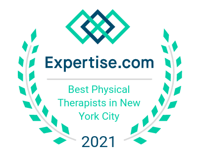 Physical Therapists