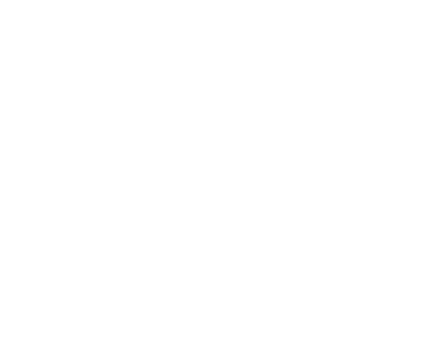 Top Carpet Cleaner in Portland