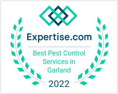 Top Pest Control Service in Garland