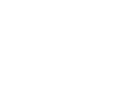 Newborn Photographers