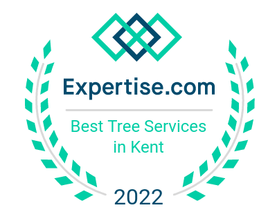 Top Tree Service in Kent