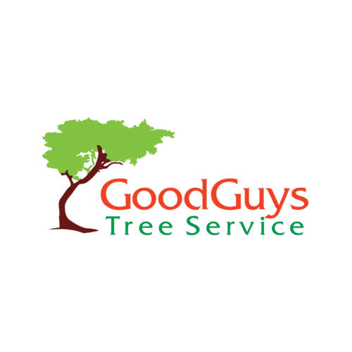 8 Best Round Rock Tree Services Expertise Com