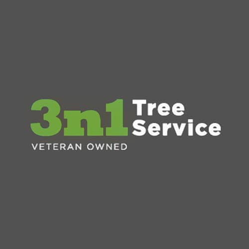 7 Best Dayton Tree Services Expertise Com