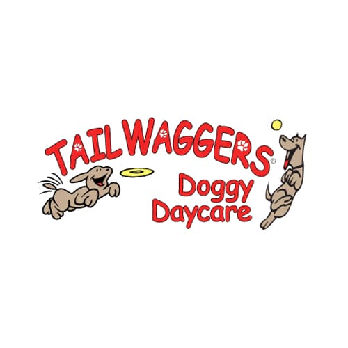 Tailwaggers Doggy Daycare Eastgate 2025