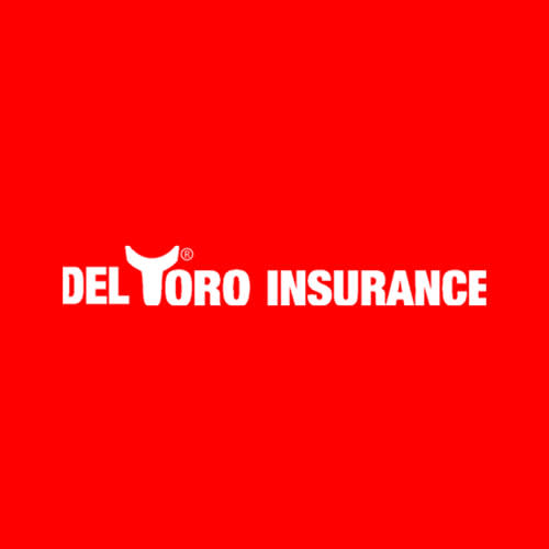 Toro Insurance / Del Toro Insurance The Assurance To Be