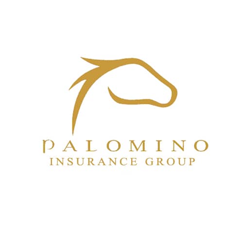 Auto Insurance Scottsdale Spreadsheet Property