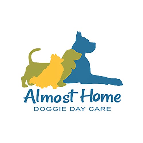 6 Best Santa Rosa Dog Daycares Expertise