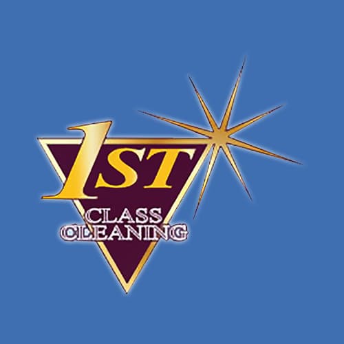 17 Best Arlington Carpet Cleaners Expertise