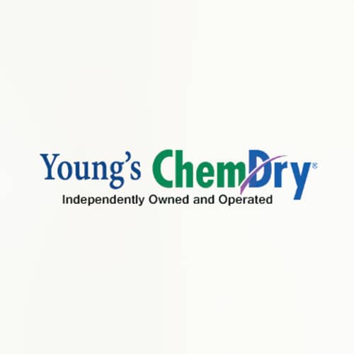 17 Best Arlington Carpet Cleaners Expertise