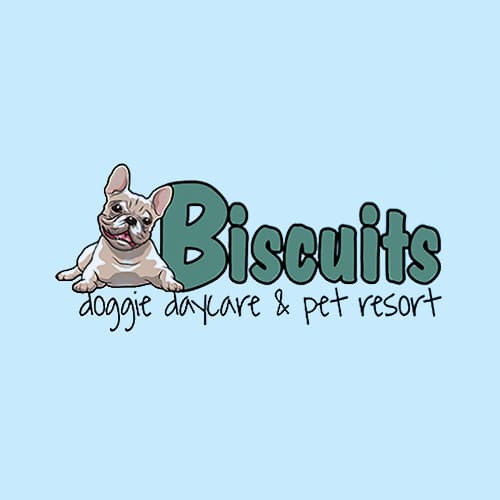 biscuits dog daycare