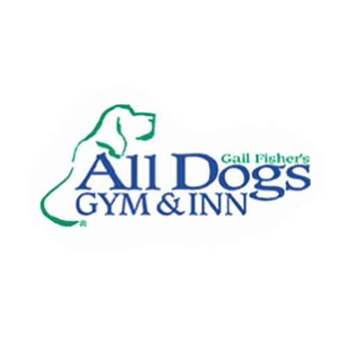 all dogs gym boarding