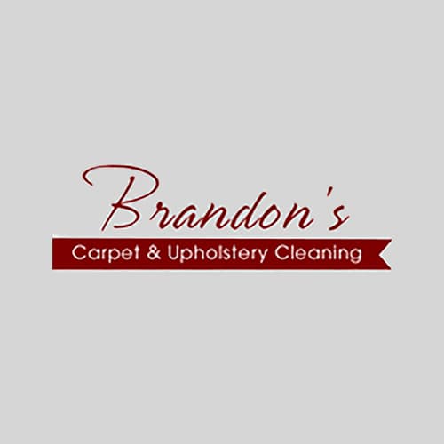 7 Best Towson Carpet Cleaners Expertise