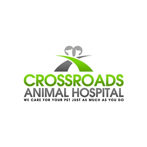20 Best Charlotte Veterinarians Expertise Com