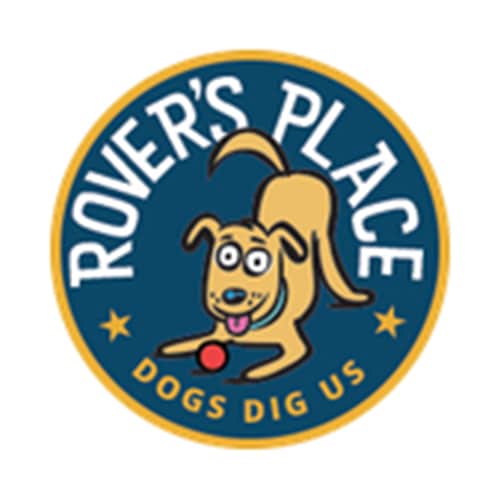 15 Best Chicago Dog Daycares Expertise Com